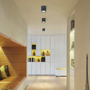 Rutela | Indoor Downlight