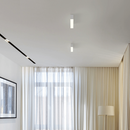 Lerone | Surface Mounted Downlight