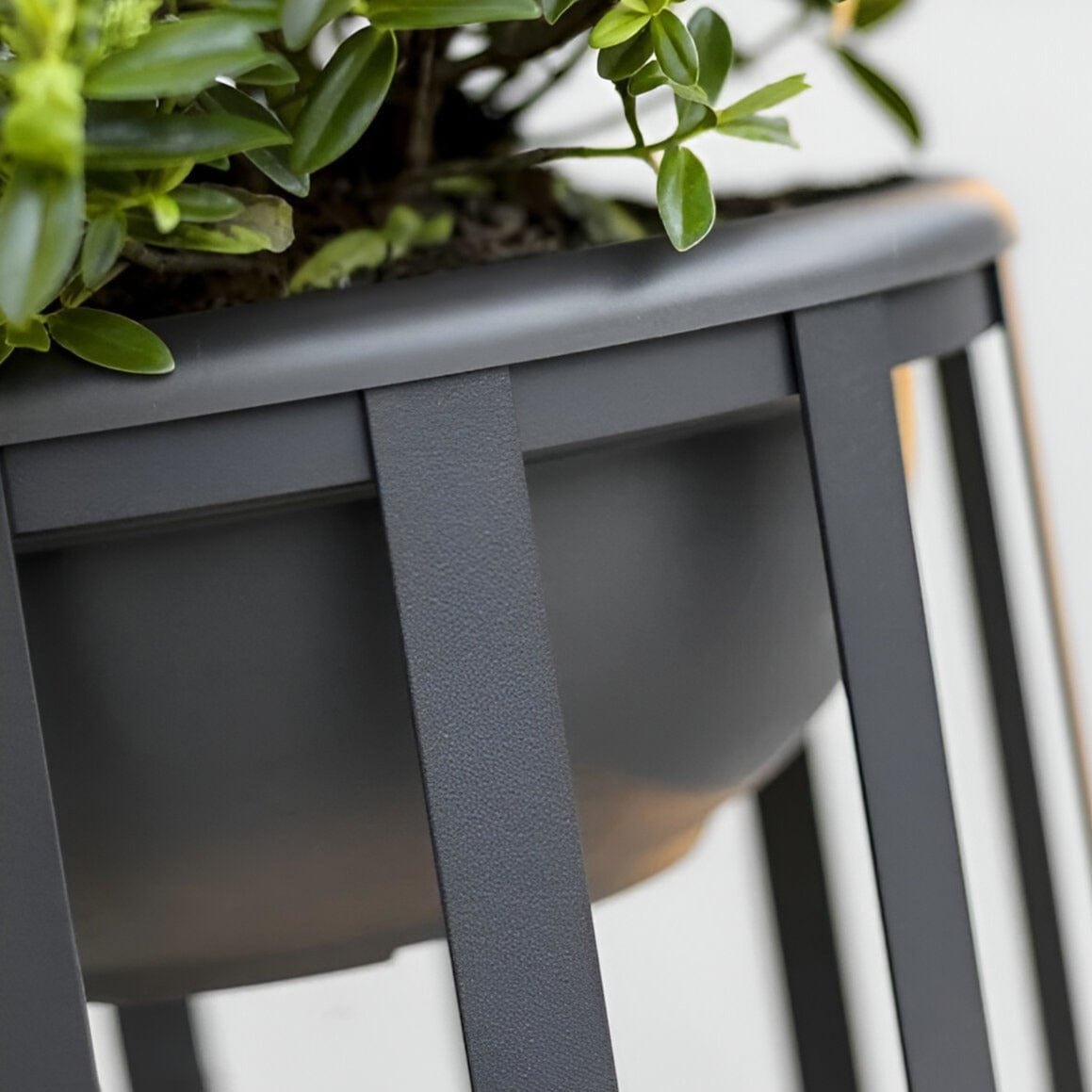 Care | Outdoor Patio Light - Detail View #2 | HomeCartel