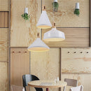 Arlo C | Nordic Pendant Light