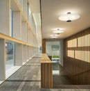 Lanni | Ceiling Mounted Light