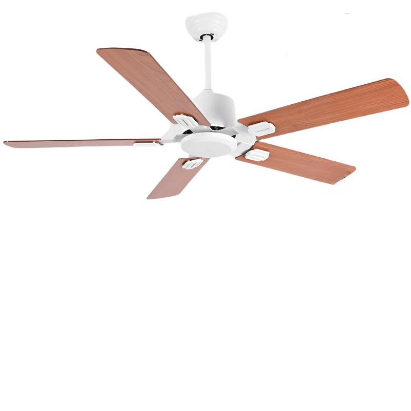 Kiruna | Five Blade Ceiling Fan - Modern Five Blade Fan | HomeCartel Philippines