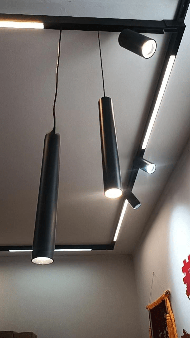 Bodhi | Magnetic Pendant Light