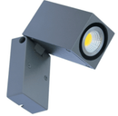 Varus | Outdoor Spotlight