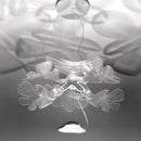 Ankeli | Modern Glass Chandelier