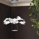 Ankeli | Modern Glass Chandelier