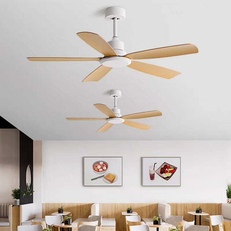 Negasi | Standard Ceiling Fan