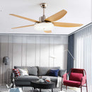 Hassani | Lighted Ceiling Fan