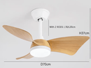 Paso | Lighted Ceiling Fan