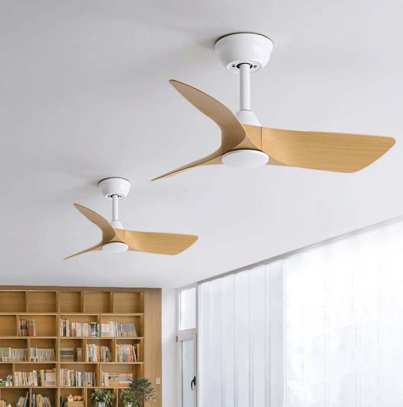 Bastina | Three Blade Ceiling Fan - Detail View #4 | HomeCartel