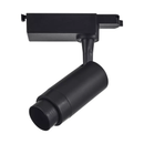 Tanner | Zoom Spotlight