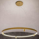 Eridanus | Modern LED & Track Chandelier