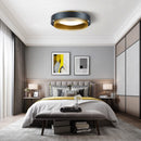 Skye | Ceiling Mounted Light