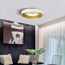 Skye | Ceiling Mounted Light