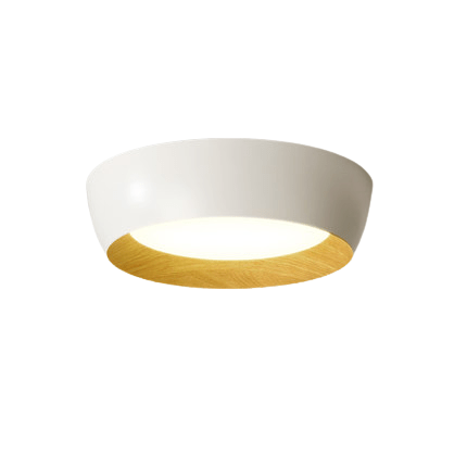 Colby | Ceiling Mounted Light - Home Cartel ®