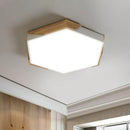 Trandal  | 2 Color Ceiling Mounted Light