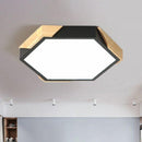 Trandal  | 2 Color Ceiling Mounted Light