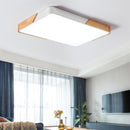 Rugga | 2 Color Ceiling Mounted Light
