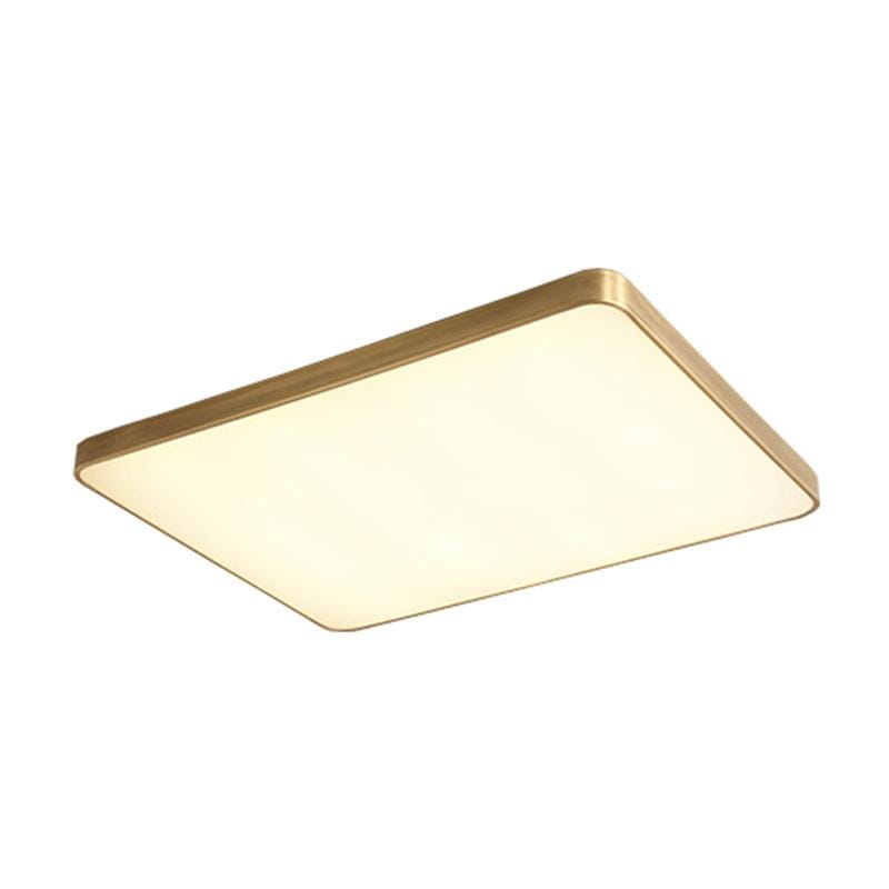 Baron (60x40) | Ceiling Mounted Light
