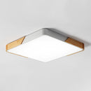Solig | 2 Color Ceiling Mounted Light