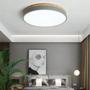 Utby | 2 Color Ceiling Mounted Light