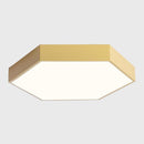 Trolig | 2 Color Ceiling Mounted Light