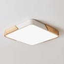 Solig | 2 Color Ceiling Mounted Light