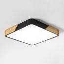 Solig | 2 Color Ceiling Mounted Light