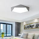 Myken | 2 Color Ceiling Mounted Light