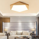 Tundra | 2 Color Ceiling Mounted Light