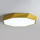 Olle | 2 Color Ceiling Mounted Light