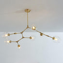 Vanja 7 A | Gold w/ Clear Glass Luxe Chandelier - Home Cartel ®
