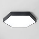 Trolig | 2 Color Ceiling Mounted Light