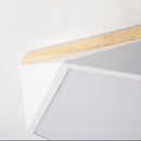 Tundra | 2 Color Ceiling Mounted Light