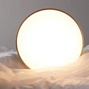 Lia | Ceiling Mounted Light - Home Cartel ®