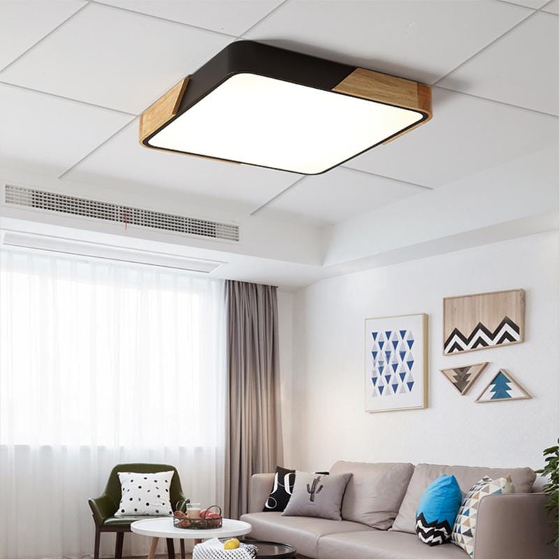 Solig | 2 Color Ceiling Mounted Light