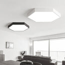 Trolig | 2 Color Ceiling Mounted Light