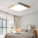 Solig | 2 Color Ceiling Mounted Light