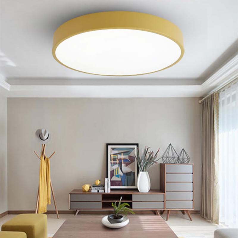 Valby | 2 Color Ceiling Mounted Light