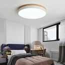 Utby | 2 Color Ceiling Mounted Light