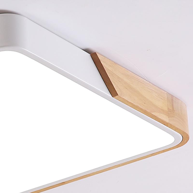 Solig | 2 Color Ceiling Mounted Light