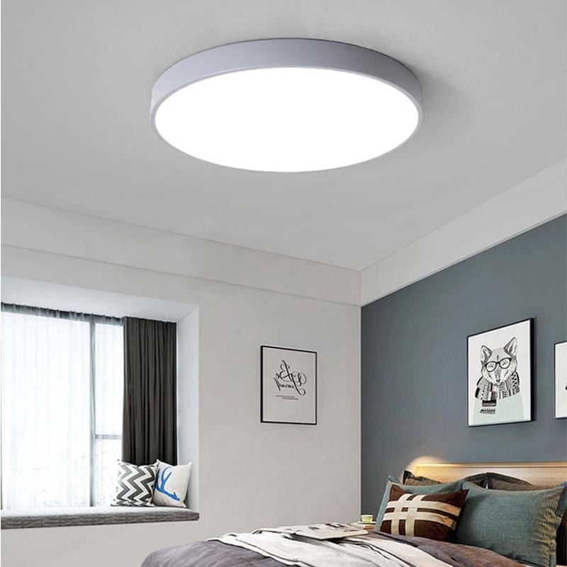 Valby | 2 Color Ceiling Mounted Light