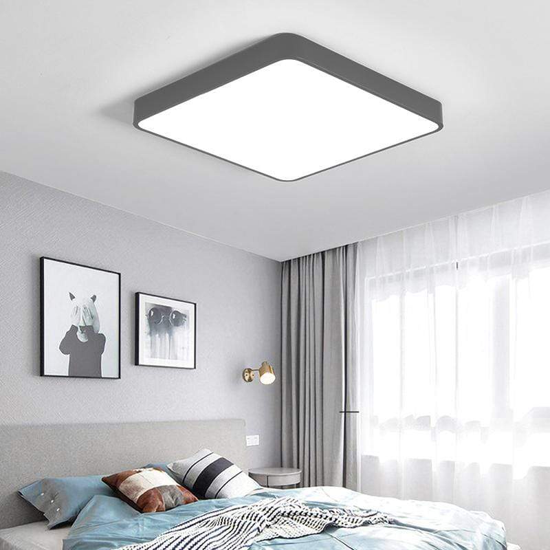 Baron Deux | 2 Color Ceiling Mounted Light