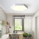 Trolig | 2 Color Ceiling Mounted Light