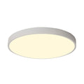 Valby | 2 Color Ceiling Mounted Light