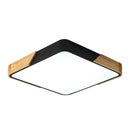 Solig | 2 Color Ceiling Mounted Light