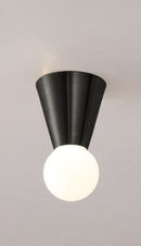 Aerik | Ceiling Mounted Light
