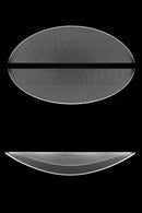 Altair | Modern LED Chandelier