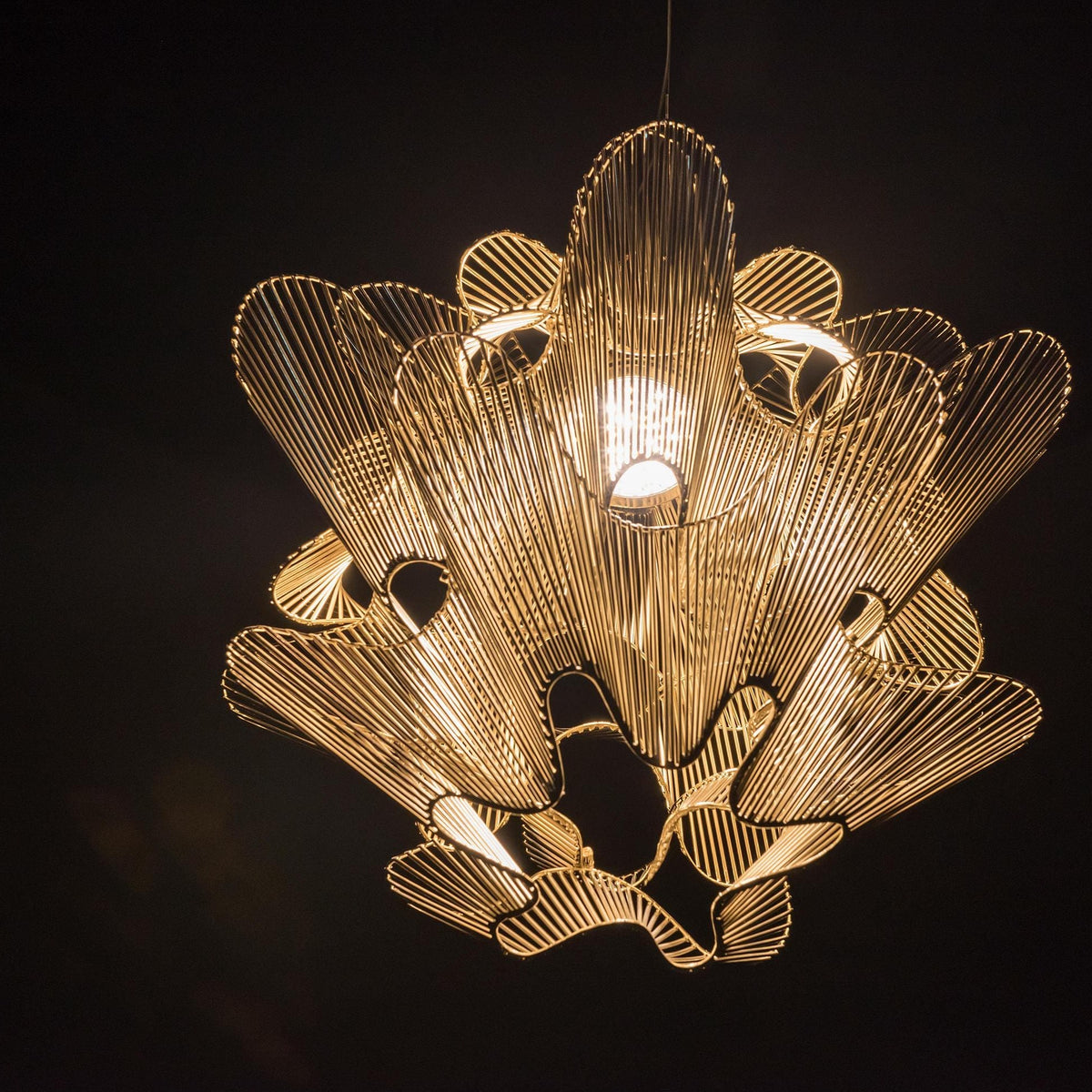 Cepheus | Modern Chandelier - Home Cartel ®
