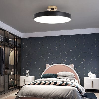 Ryden | Ceiling Mounted Light